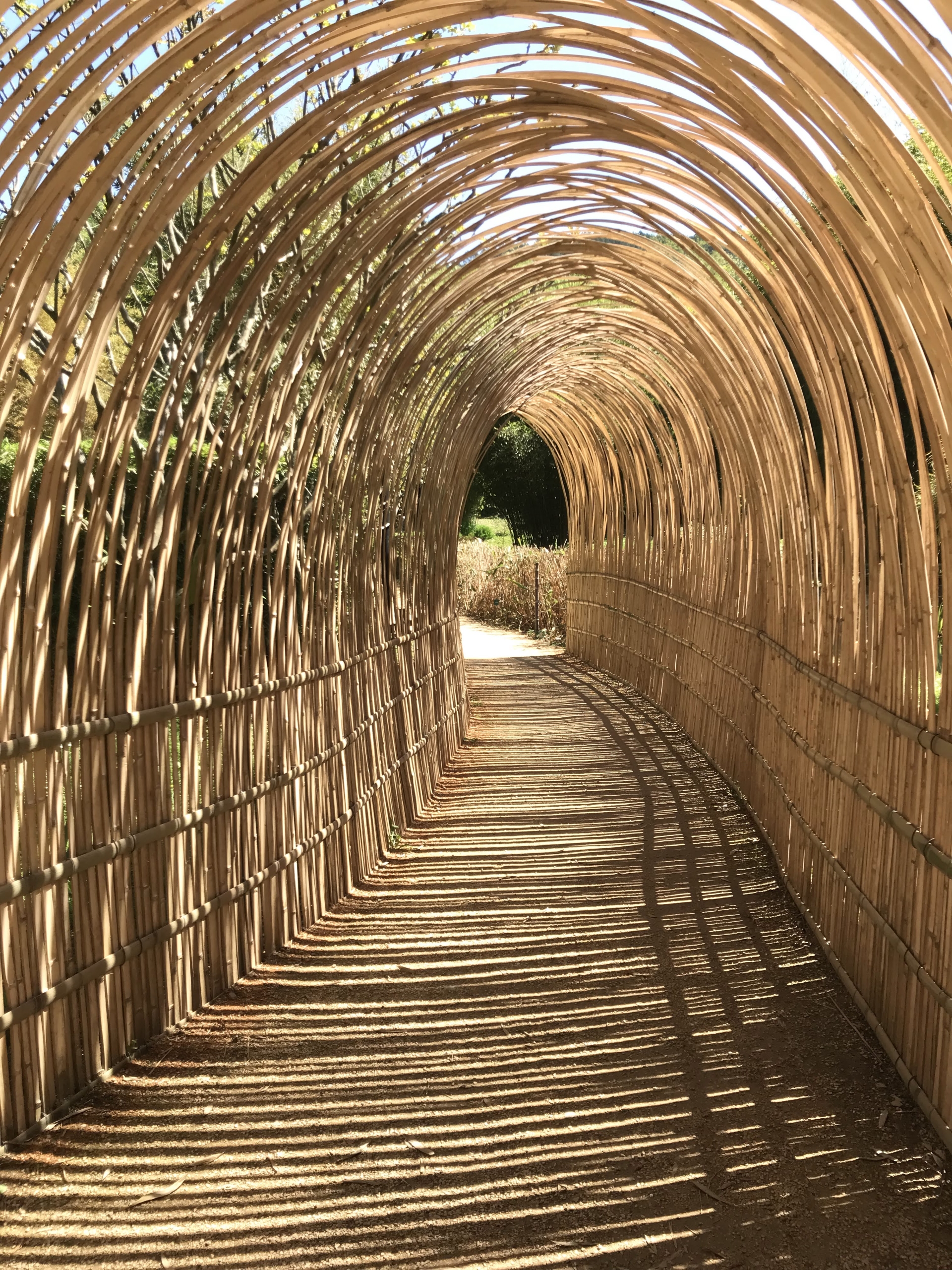 chemin-osier